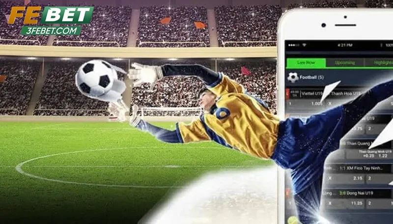 Lợi ích khi theo dõi tn tức Febet